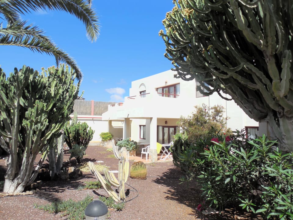 Kakteen Garten mit Blick zu unserem Balkon Alua Suites Fuerteventura
