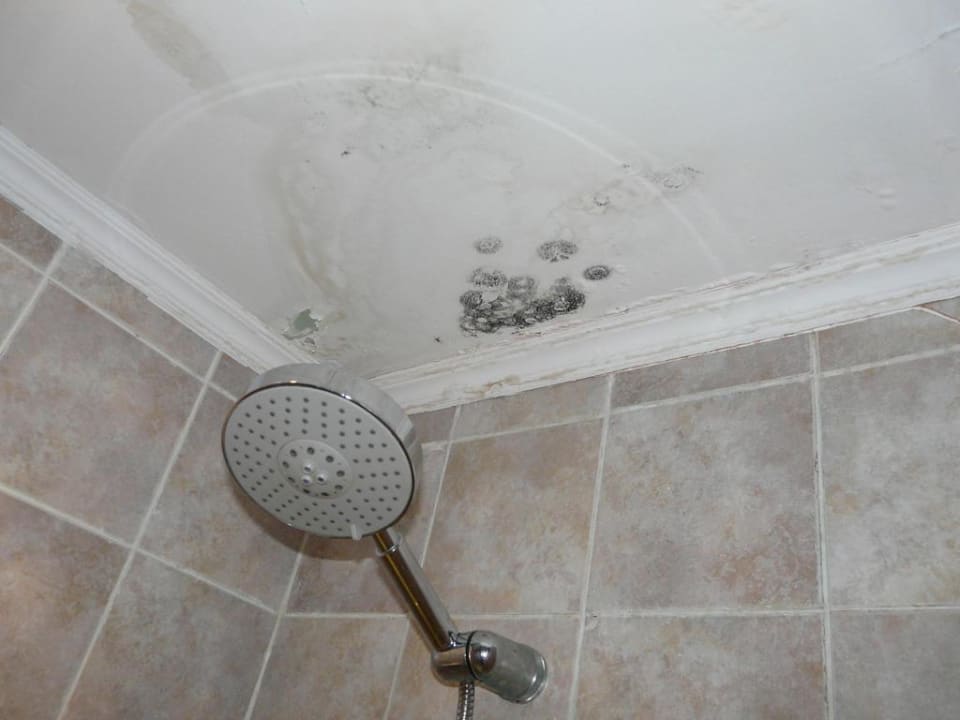 Funghi in the Bathroom Riviera Aqua Park Resort