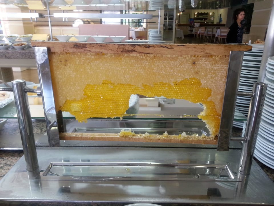 Honigwabe zum Frühstück Can Garden Beach