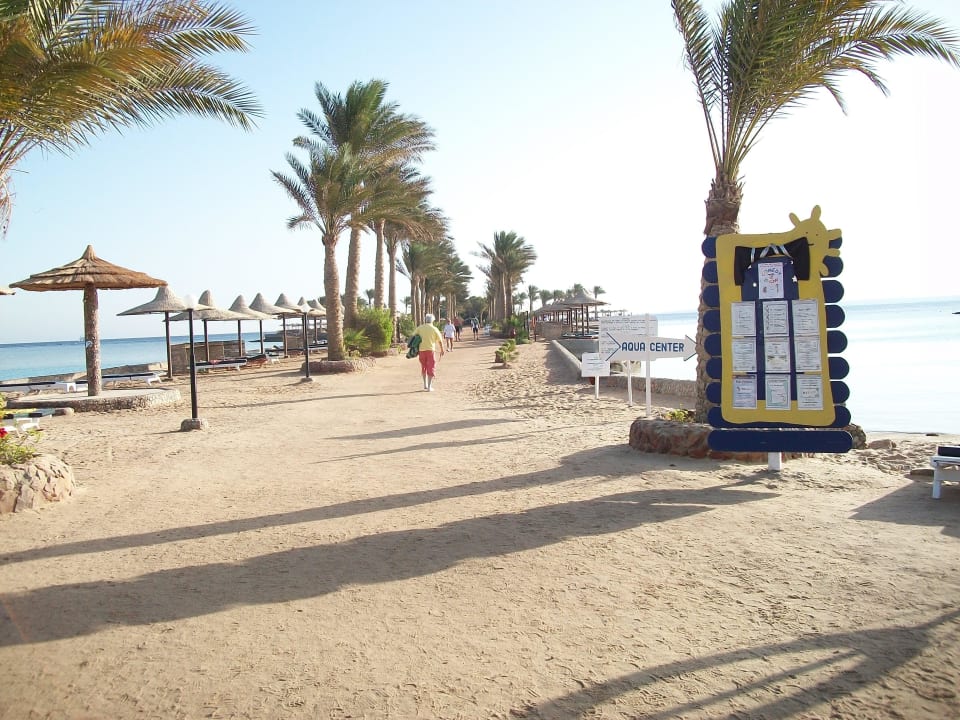 Dieser Weg führt zum Haus-Riff   Arabia Azur Resort