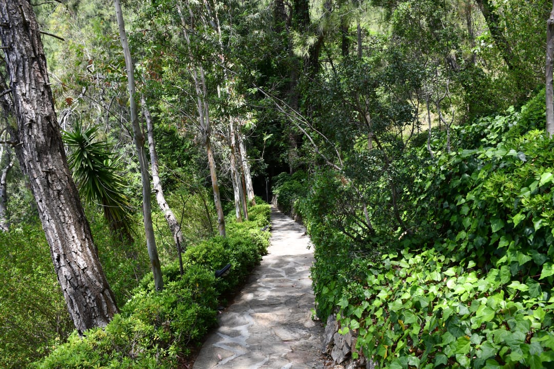 Gartenanlage Hillside Beach Club