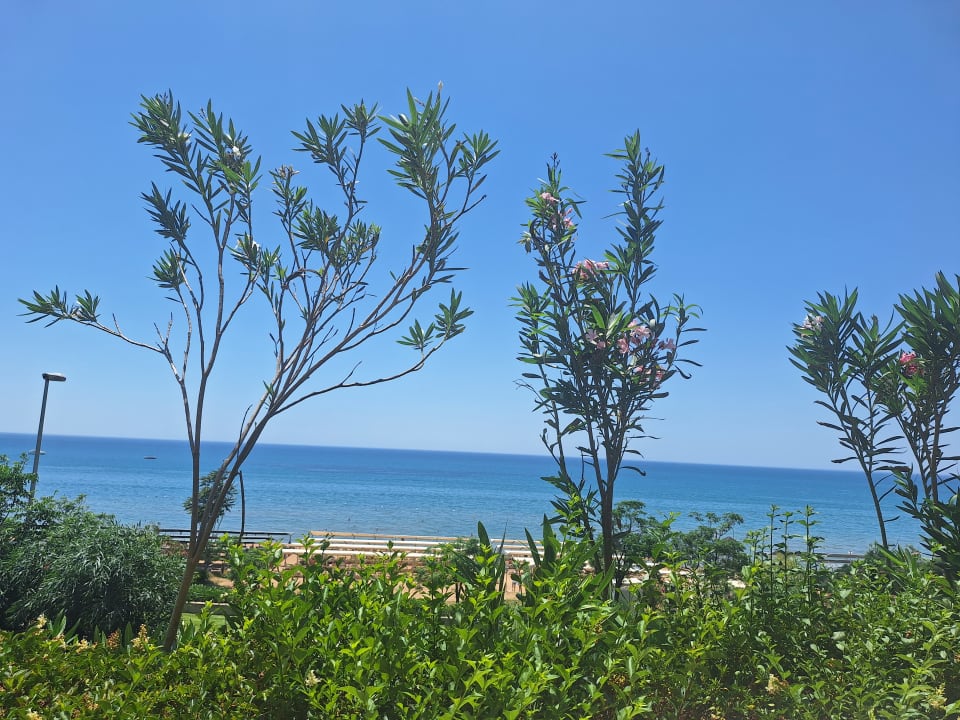 Gartenanlage Club Sidelya Hotel