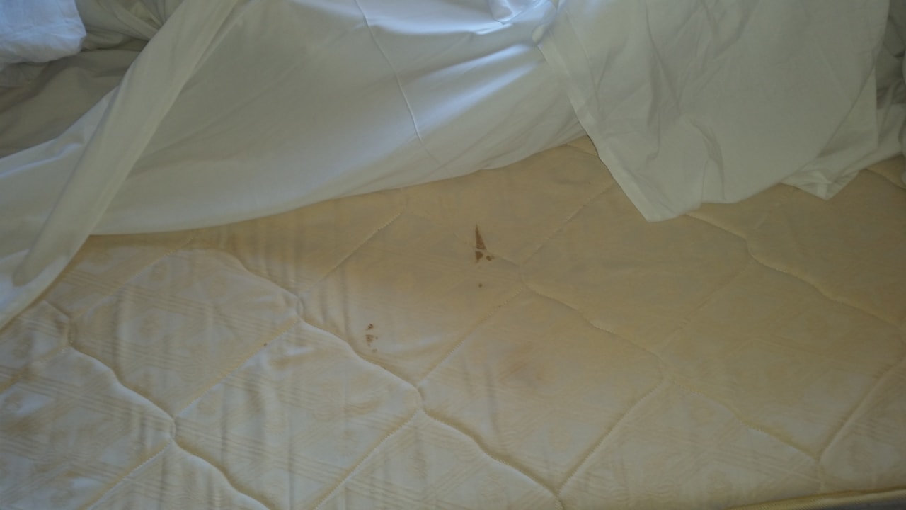 Zimmer Coral Hills Resorts & SPA