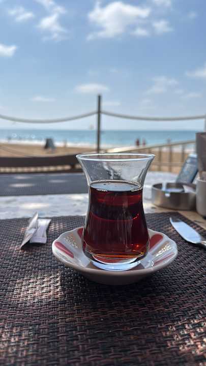 Strand Seashell Vega