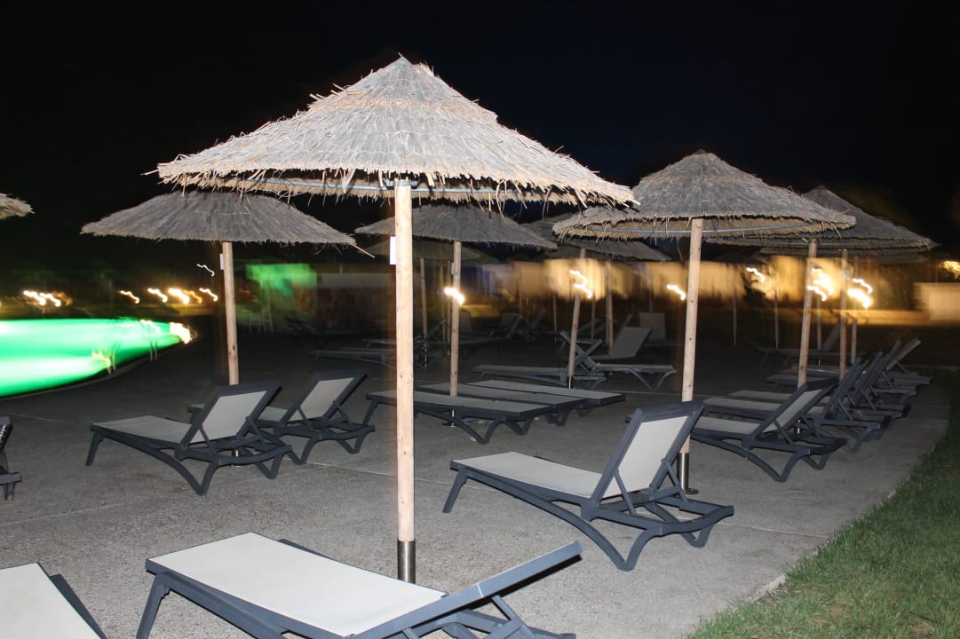 Schmetterlingspool Atlantica Plimmiri