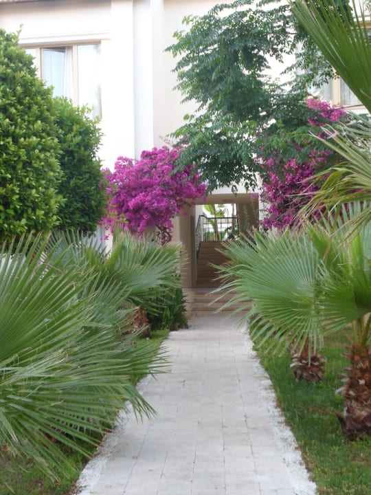 Eingang zu den Bungalow  Selectum Family Comfort Side