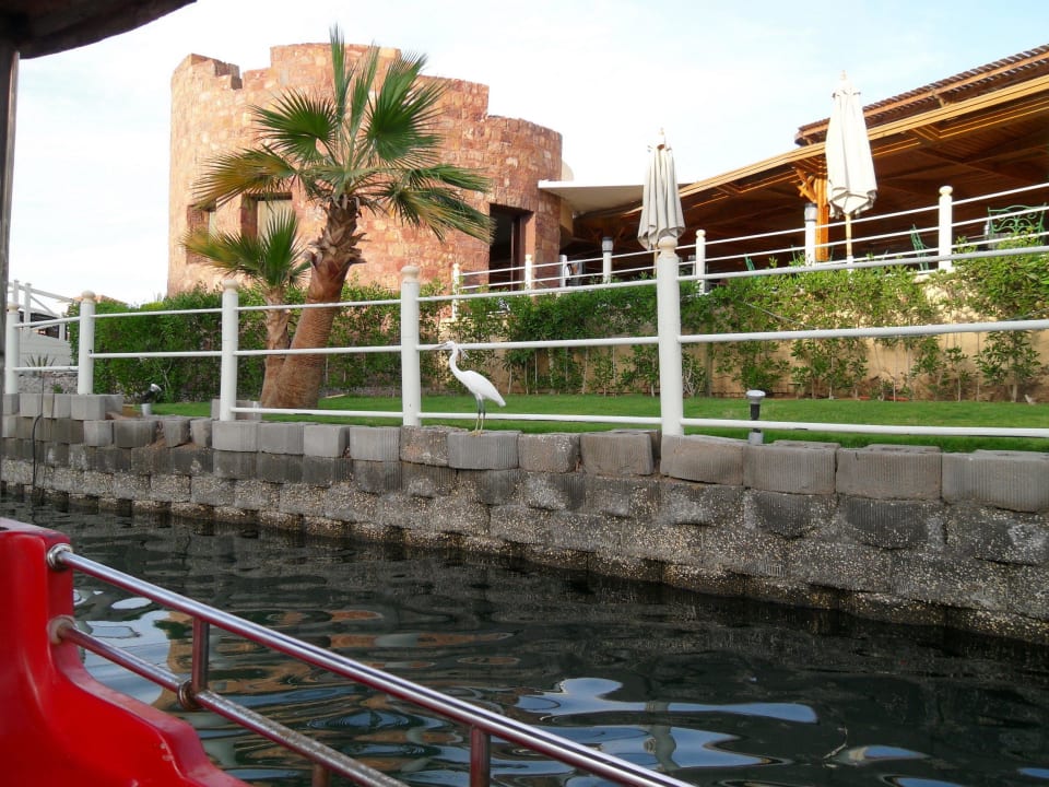 Blick Langune Pickalbatros Dana Beach Resort - Hurghada
