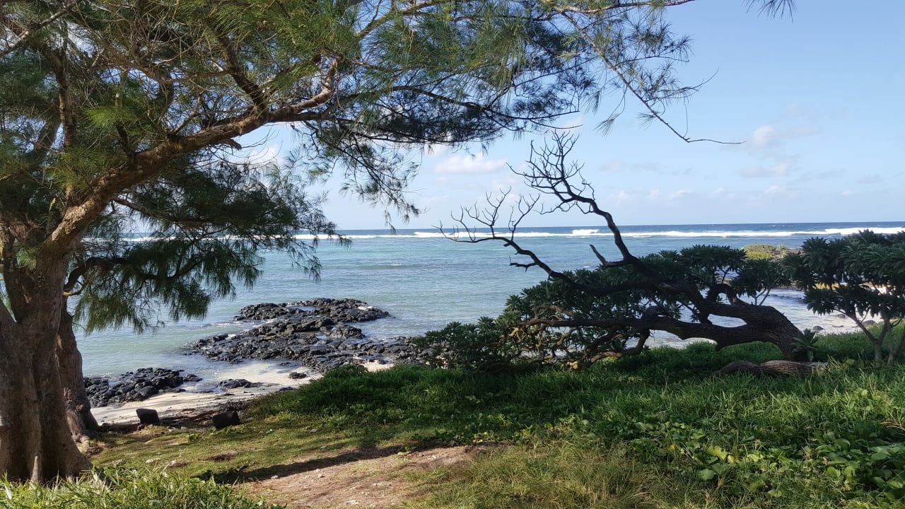 Strand Friday Attitude