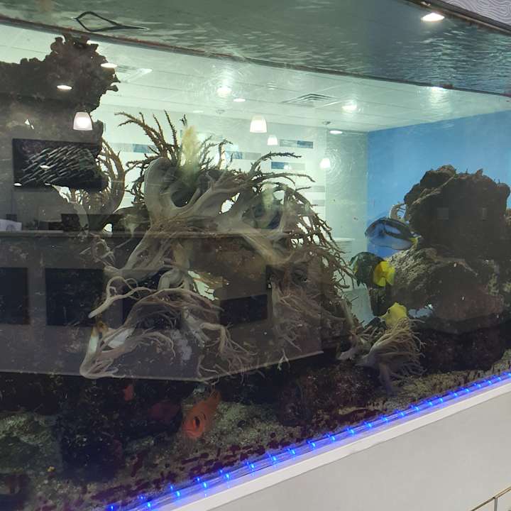 Sonstiges Hotel Emerald Coast Inn & Suites