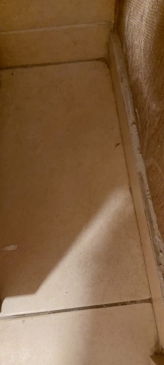 Zimmer Well Palace Side