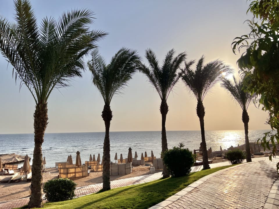 Strand Serenity Alpha Beach