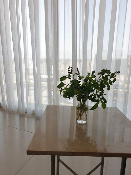 Zimmer JAZ Elite Asteria