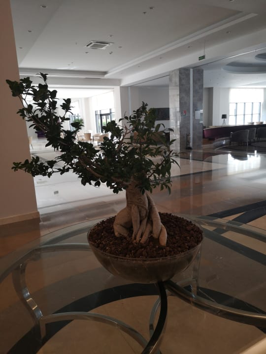 Sonstiges Korumar Ephesus Beach & Spa Resort