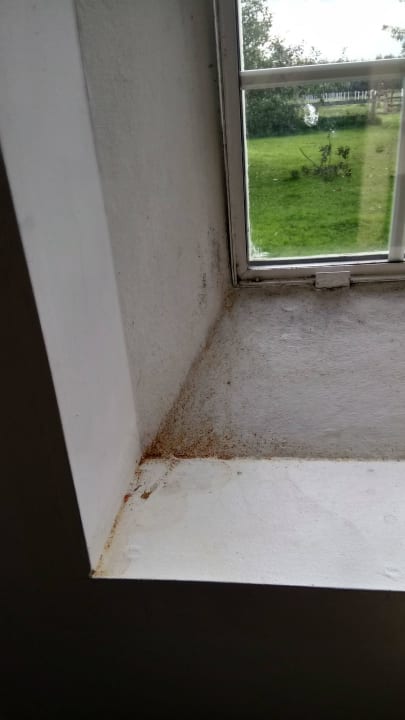 Fensterleibung total verdreckt B&B Stald Nordkap Farm
