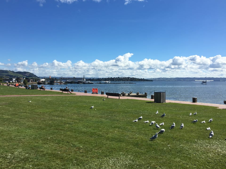 Ausblick Apartments Ascot On Fenton