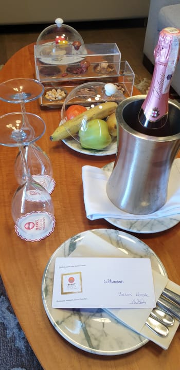 Gastro Acanthus Cennet Barut Collection