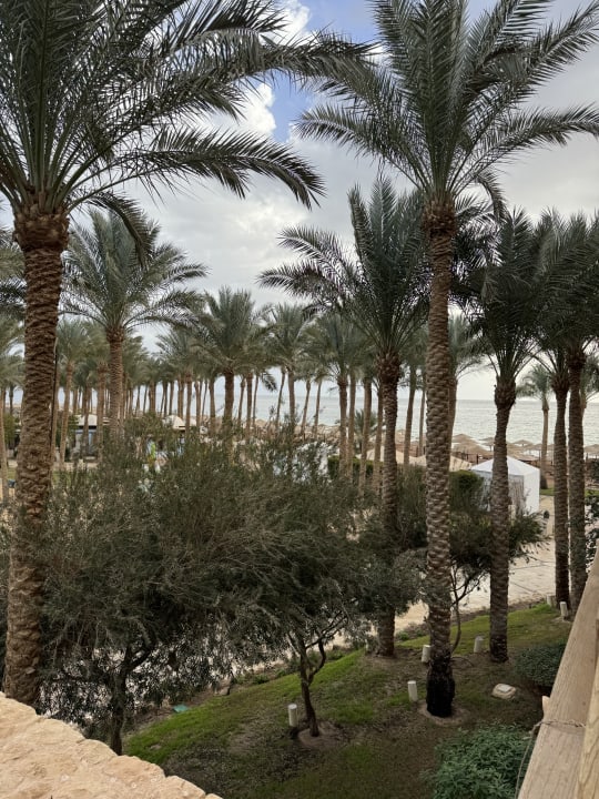 Gartenanlage Makadi Spa - Adults only