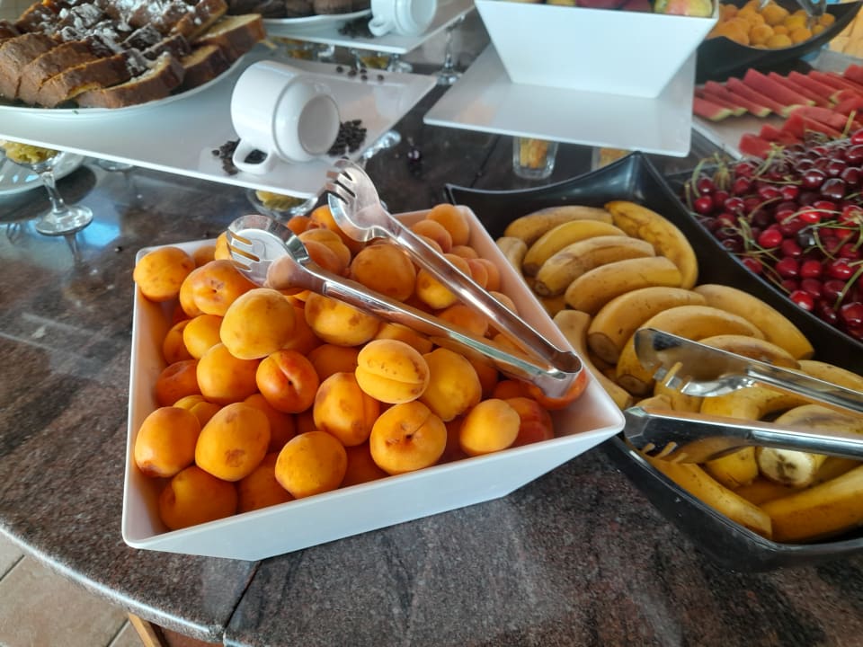 Gastro Hotel Borjana