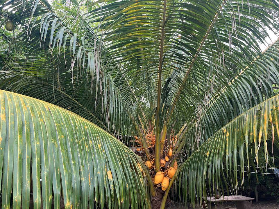 Gartenanlage Tambo Marina Eco Hostal