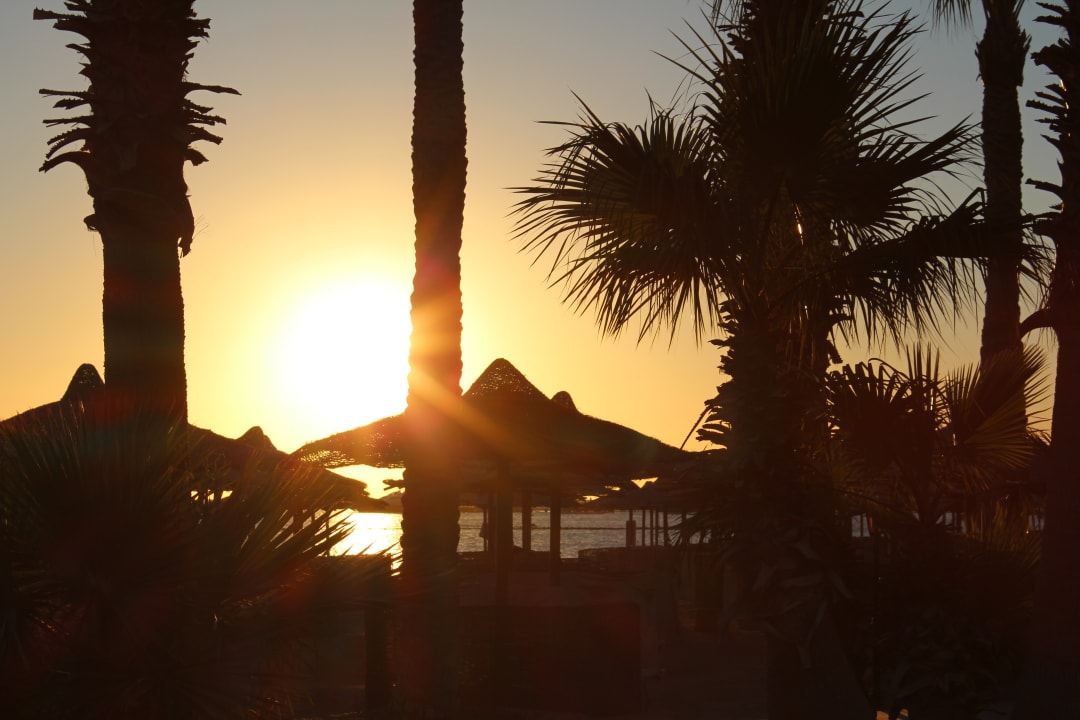 Sonnenaufgang am Strand Hotel JAZ Makadi Star & Spa