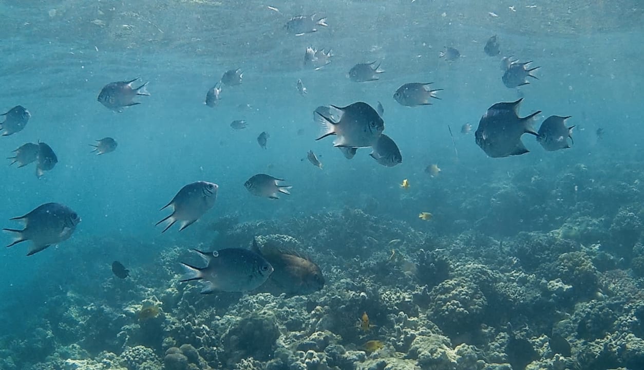 Sport & Freizeit Cleopatra Luxury Resort Makadi Bay