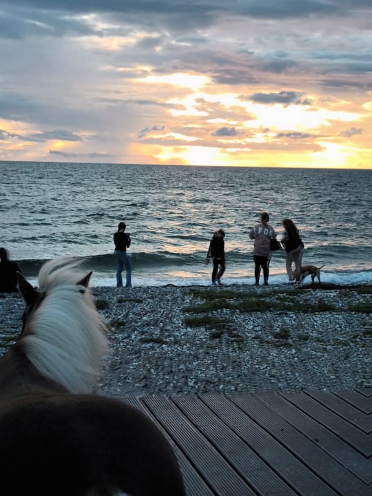 Strand Ferienhäuser Bauernhof Haltermann Landurlaub mit Stil