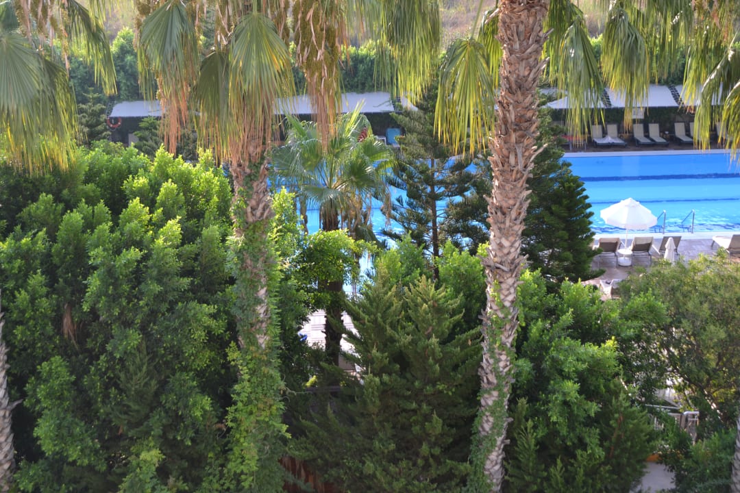 Ausblick Hane Family Resort