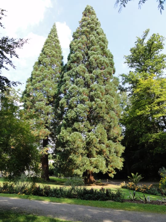 Gartenanlage Wellnesshotel Allmer