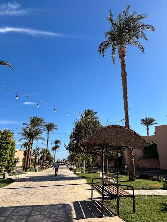 Außenansicht Ali Baba Palace Hotel