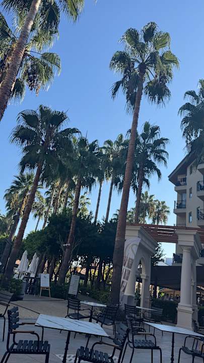 Pool allsun Numa Club Side