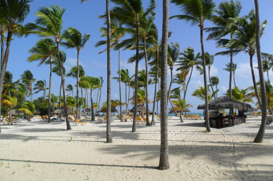 Strand Catalonia Royal Bavaro - Adults only