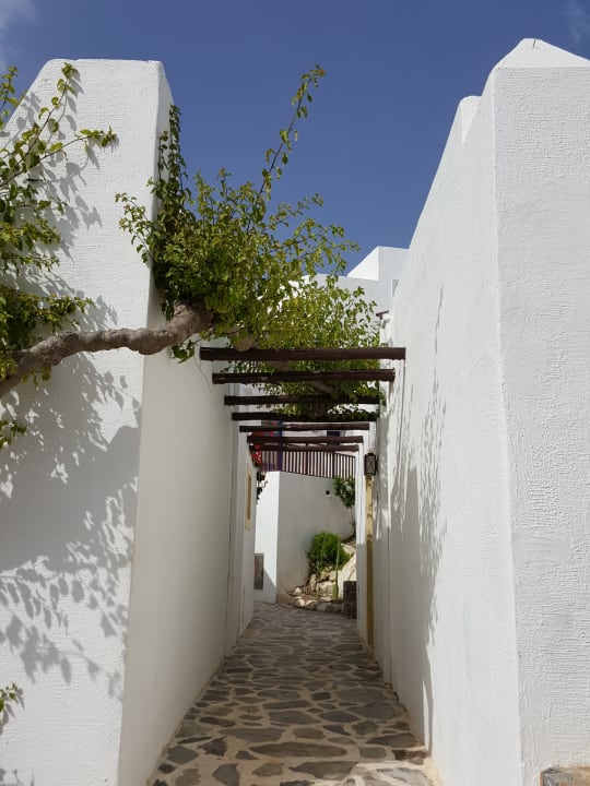 Gartenanlage Creta Maris Resort