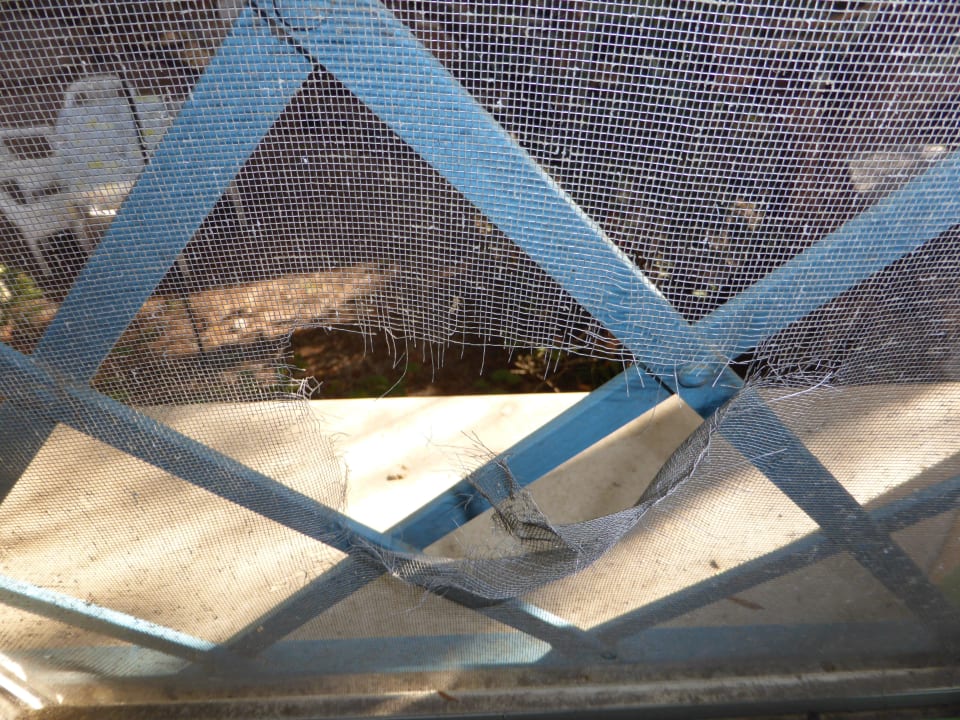 Loch in Fliegengitter Sardafit Nr. 555a - Surfer's Traumhaus an zwei Sandstränden