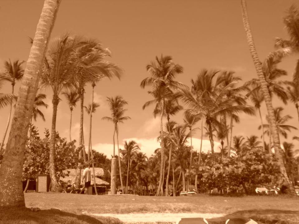 Strand Wyndham Alltra Samana
