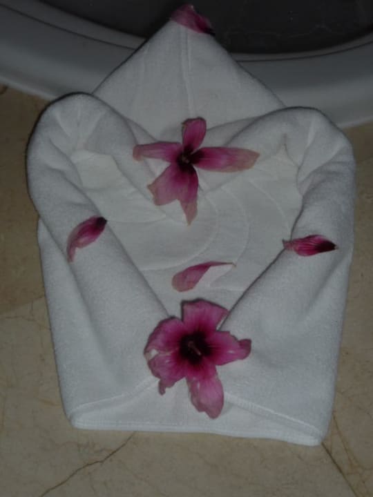 Handtuchfigur TRS Turquesa Hotel - Adults only