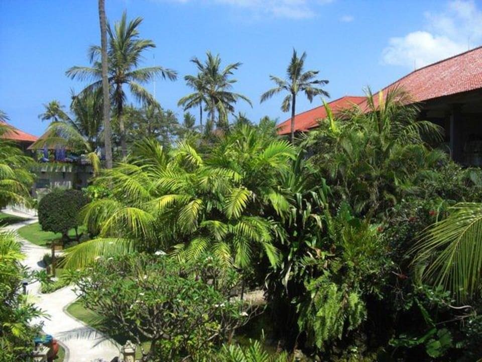 Garten  Bali Dynasty Resort