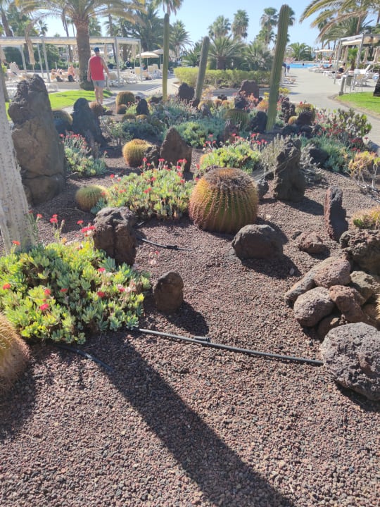 Gartenanlage Hotel Riu Gran Canaria