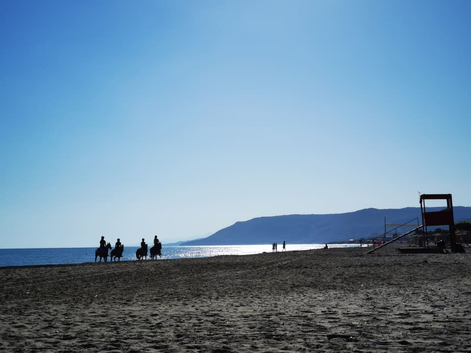 Strand Delfina Tropic Beach