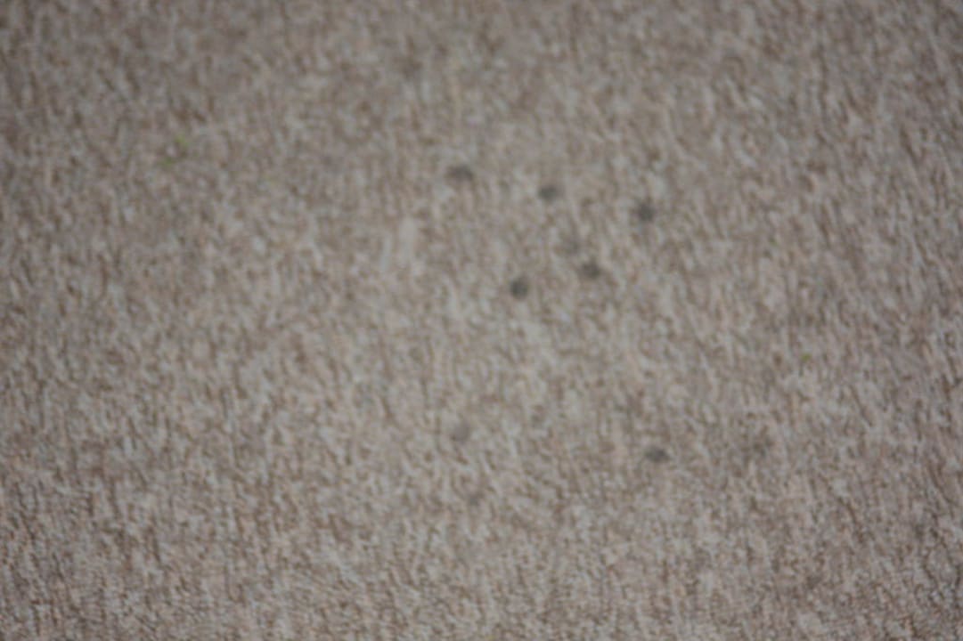 Flecken Hotel Bayerischer Wald