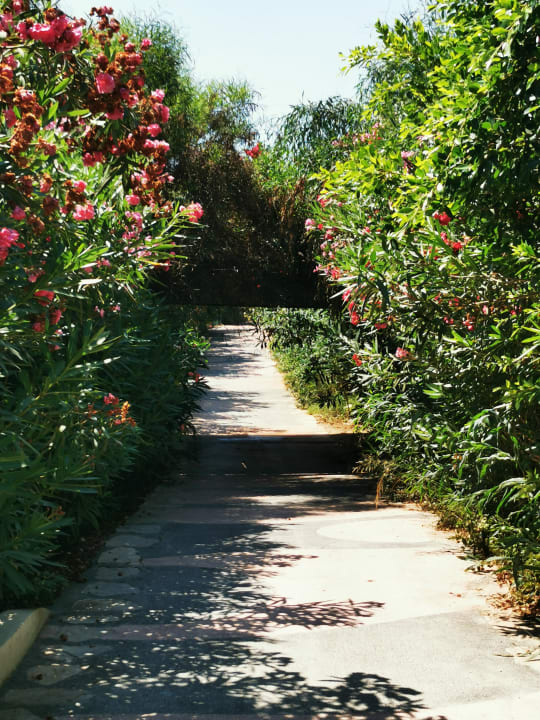 Gartenanlage Starlight Resort Hotel