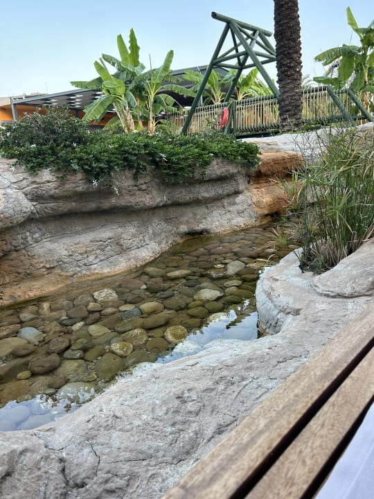 Gartenanlage TUI BLUE Xanthe