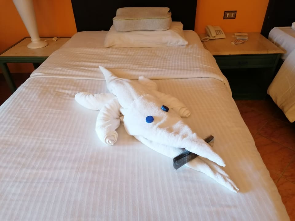Zimmer Arabia Azur Resort