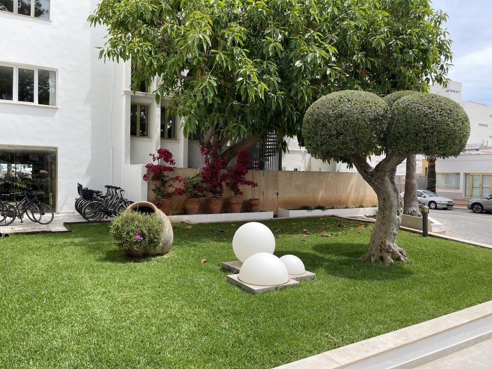 Gartenanlage CM Playa del Moro