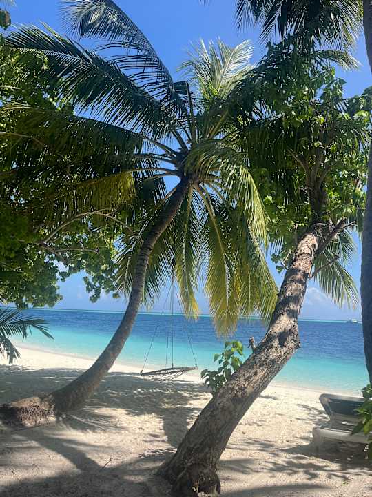 Außenansicht Vilamendhoo Island Resort & Spa