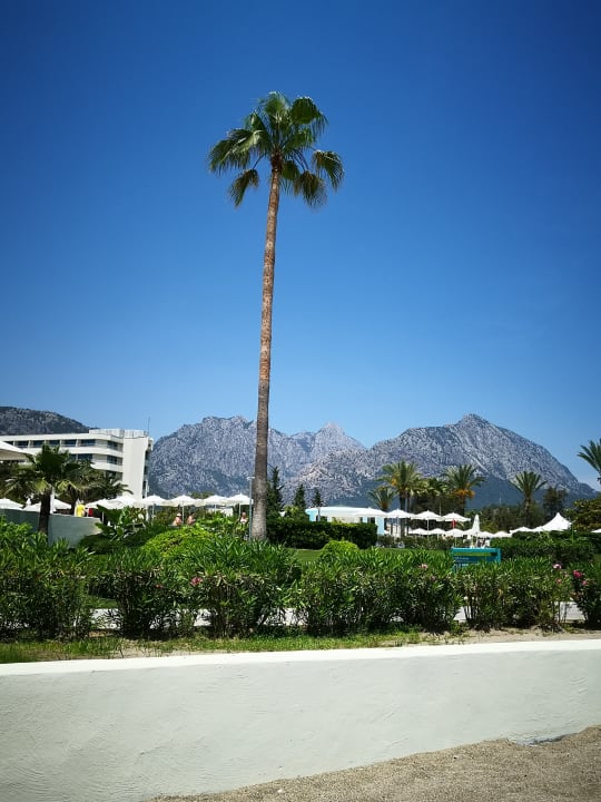 Gartenanlage Mirage Park Resort