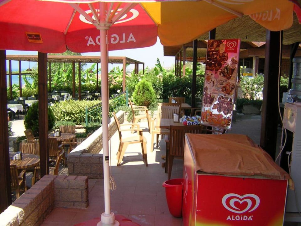 Die Strandbar (die Eistecke) Club Side Coast