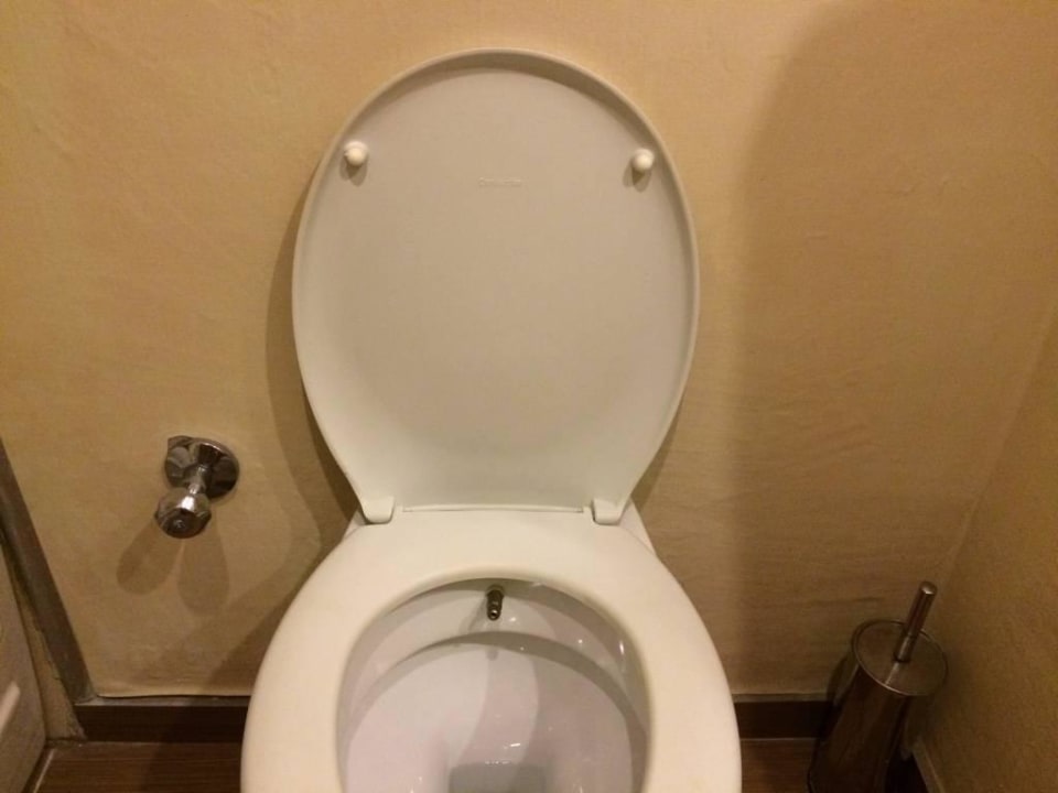 Wellige Tapete, egal wohin man schaut Calimera Hane Garden