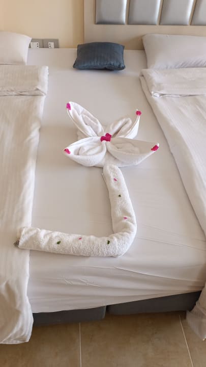 Zimmer Tropitel Sahl Hasheesh