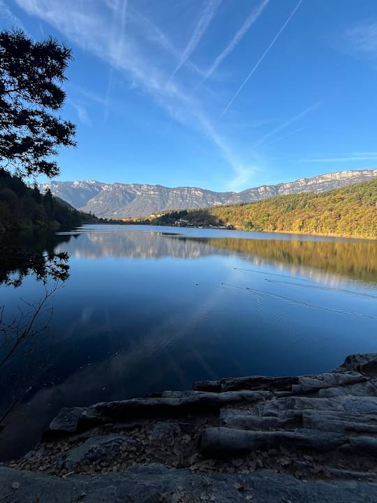 Sonstiges Gartenhotel Moser