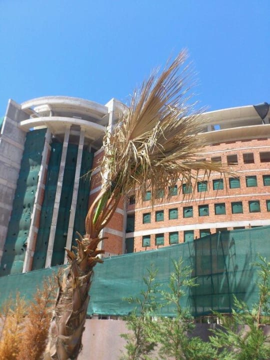 Kein grünblick Wyndham Garden Lara